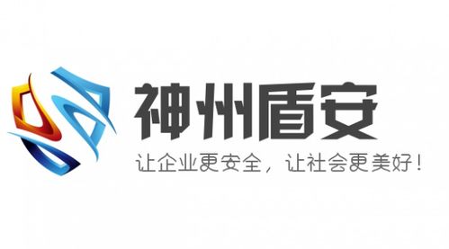 神州盾安 乘勢(shì)而上，勇做中國(guó)安全技術(shù)咨詢服務(wù)行業(yè)領(lǐng)跑者
